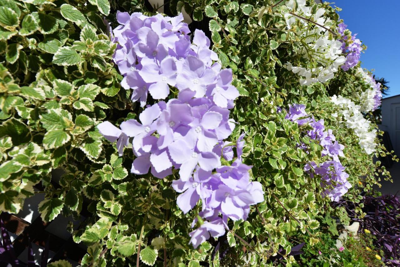 Apartment Lavender Vir Kültér fotó
